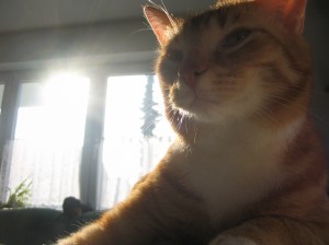 IMG_2607